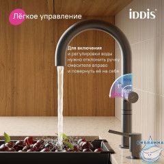 Смеситель для кухни с подключением фильтра Iddis Спин SPNGMCFi05 (графит)