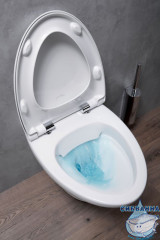 Инсталляция Jacob Delafon E29025-NF с кнопкой смыва E29026-01R в комплекте с унитазом Jacob Delafon Nouvelle Vague EDJ102-00 c сиденьем Soft close (микролифт) легкосъёмное E20068-00