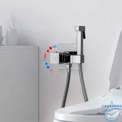 Встраиваемый смеситель с гигиеническим душем Gappo G7207-40 (хром)