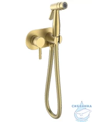 Встраиваемый смеситель Raglo  R20.52.03  с гигиеническим душем (сатин золотой)
