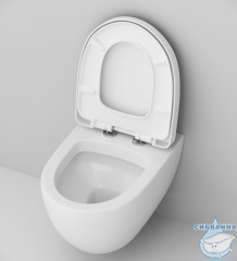 Инсталляция AM.PM с кнопкой смыва в комплекте с унитазом AM.PM Awe c сиденьем Soft close (микролифт) IS49001.111738