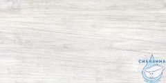 GT223VG Керамогранит Storm_GT светло-сер. 30x60  1\58,32