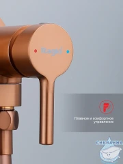Встраиваемый смеситель с гигиеническим душем Raglo R20.54.33 (медь)