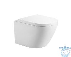 Унитаз подвесной безободковый Aquanet Zvezda-2 303978 с сиденьем Soft Close (микролифт)