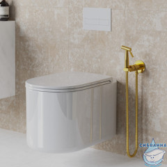 Смеситель Paini Castello Round CAPJ442R с гигиеническим душем (брашированное золото)