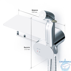 Cмеситель с гигиеническим душем Am.Pm Like F0202600 (хром)