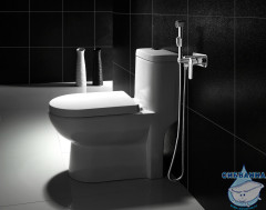 Встраиваемый смеситель с гигиеническим душем Lemark Plus Grace LM1519C