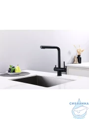 Смеситель кухни Frap F43899-36 (черный матовый)