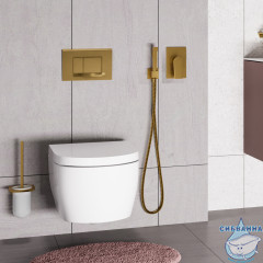 Встраиваемый смеситель для душа Wasserkraft Aisch 5551 (1 режим) (золото)