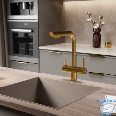 Смеситель для кухни Wasserkraft A8387 (матовое золото)