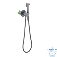 Смеситель с гигиеническим душем Aquatek Европа AQ1021BGM (оружейная сталь)