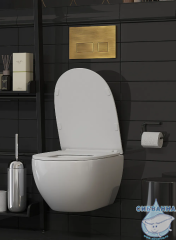 Кнопка смыва Toni Arti Noche TA-0046 бронза