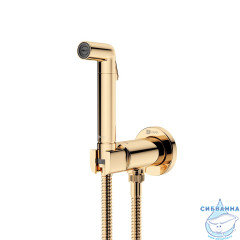 Встраиваемый смеситель с гигиеническим душем Lemark Solo LM7171G (золото)