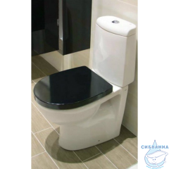 Сиденье для унитаза Roca Victoria Nord Black Edition  Soft Close (микролифт) CS ZRU9302627 чёрное