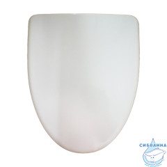 Крышка-сиденье AM.PM Bliss L C537851WH с микролифтом