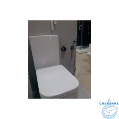 Встраиваемый смеситель с гигиеническим душем Kludi Bozz 389990576