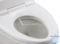 Крышка-биде для унитаза Jacob Delafon 45559NK-0 с микролифтом