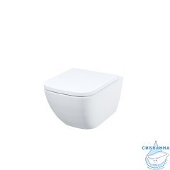 Унитаз подвесной, безободковый, Torr, IDDIS, TORRDSEi25