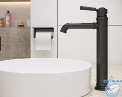 Смеситель для раковины Timo Arisa 5311/03F (без донного клапана) (черный матовый)