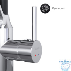 Смеситель для кухни AM.PM Like F8013000 (хром/черный)