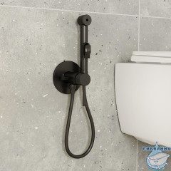 Встраиваемый смеситель с гигиеническим душем Iddis Spring 003BLR0i08 (черный матовый)