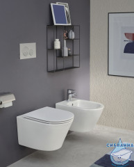 Унитаз подвесной безободковый Jacob Delafon Rodin+ (с сиденьем Soft Close (микролифт)