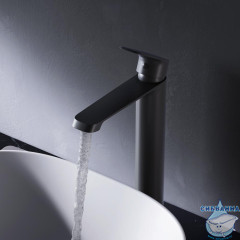 Смеситель для раковины AM.PM Func F8F92022 (черный матовый)