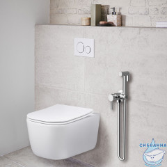 Смеситель Vincea VHFW-101CH с гигиеническим душем (хром)