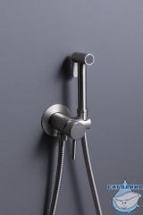 Встраиваемый смеситель с гигиеническим душем Allen Brau Priority 5.31A29-BN (никель)