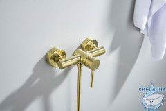 Смеситель для душа Aquatek Европа AQ1360BG (золото шлифованное)