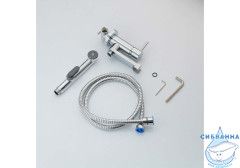 Встраиваемый смеситель с гигиеническим душем Aquatek Ника AQ1819CR  (хром )