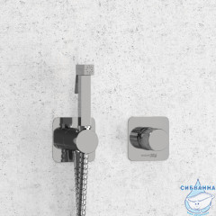 Встраиваемый смеситель с гигиеническим душем Wasserkraft  Mosel A4651.271.057.136 (хром)