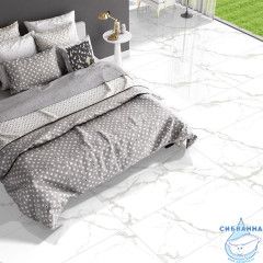 Плитка керамогранитная AZARIO MARTIN GREY 60х120 Glossy (F4110821124G)