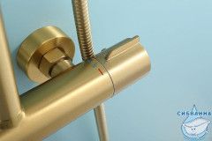 Душевая система Raglo 250 1 режим R20.26.03 (сатин золотой)