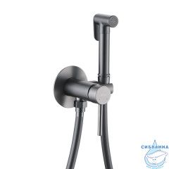 Встраиваемый смеситель с гигиеническим душем ABBER Wasser Kreis AF8125NG (никель)