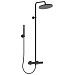 Душевая система Ideal Standard Ceratherm T25 300 1 режим BC748XG (черный матовый)