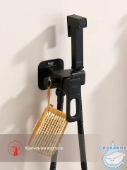 Встраиваемый смеситель с гигиеническим душем Raglo R51.52.06 (черный матовый)