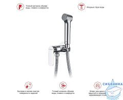 Встраиваемый смеситель Raglo R03.52 с гигиеническим душем (хром)