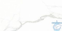 Плитка керамогранитная AZARIO WHITE CARARRA 60х120 Glossy (GJT612670)