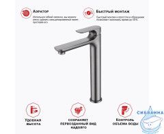 Смеситель для раковины Raglo R03.15.09 (графит)