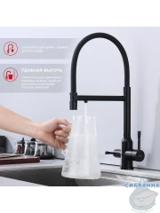 Смеситель для кухни Raglo R81.63.06 (черный)