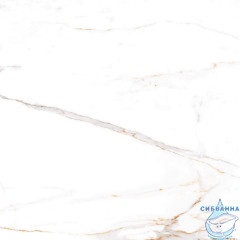 Плитка керамогранитная AZARIO AFION GOLD 60х60 Glossy (P104082160G)