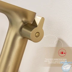 Смеситель для ванны на борт Raglo R03.31.03 с душевым гарнитуром (сатин золотой)