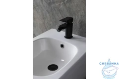 Смеситель для биде Allen Brau Infinity 265442 (черный матовый)