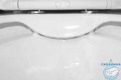 Унитаз напольный безободковый Azario Anteo Round AZ-1219A с бачком и сиденьем Soft Close (микролифт)