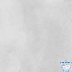 GT606019301SPR Керамогранит Apollo_GT Серый 60x60 _ 1\54,72