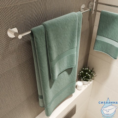 Полотенцедержатель Iddis Sena SENSS10i49