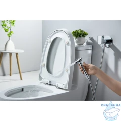 Смеситель с гигиеническим душем Aquatek Оберон AQ1024CR (хром)