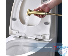 Смеситель Raglo R03.51.03 с гигиеническим душем (сатин золотой)