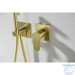 Смеситель с гигиеническим душем Aquatek Оберон AQ1220BG (золото шлифованное)